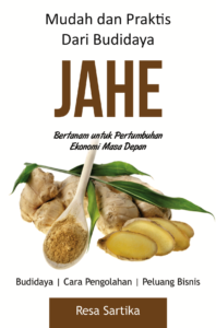 Budidaya Jahe
