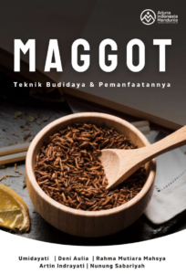 Budidaya Maggot
